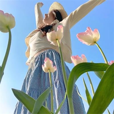 森林传说